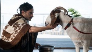 Моцарт в джунглях 2 сезон 2 серия