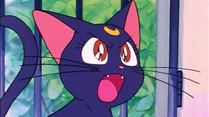 Красавица-воин Сейлор Мун 1 сезон 16 серия